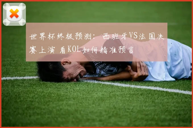 世界杯终极预测：西班牙VS法国决赛上演 看KOL如何精准预言